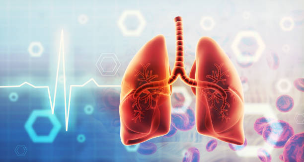 肺纖維化：干細(xì)胞治療是前進(jìn)的方向嗎？