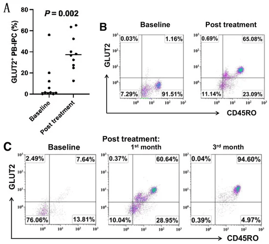 圖1：接受干細(xì)胞教育療法治療后，患者中GLUT2+CD45RO+PB-IPC 的百分比增加